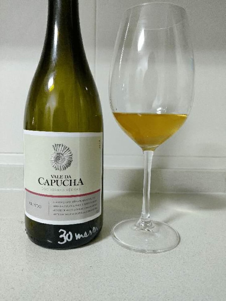 Branco - Vale da Capucha - Pedro Marques 