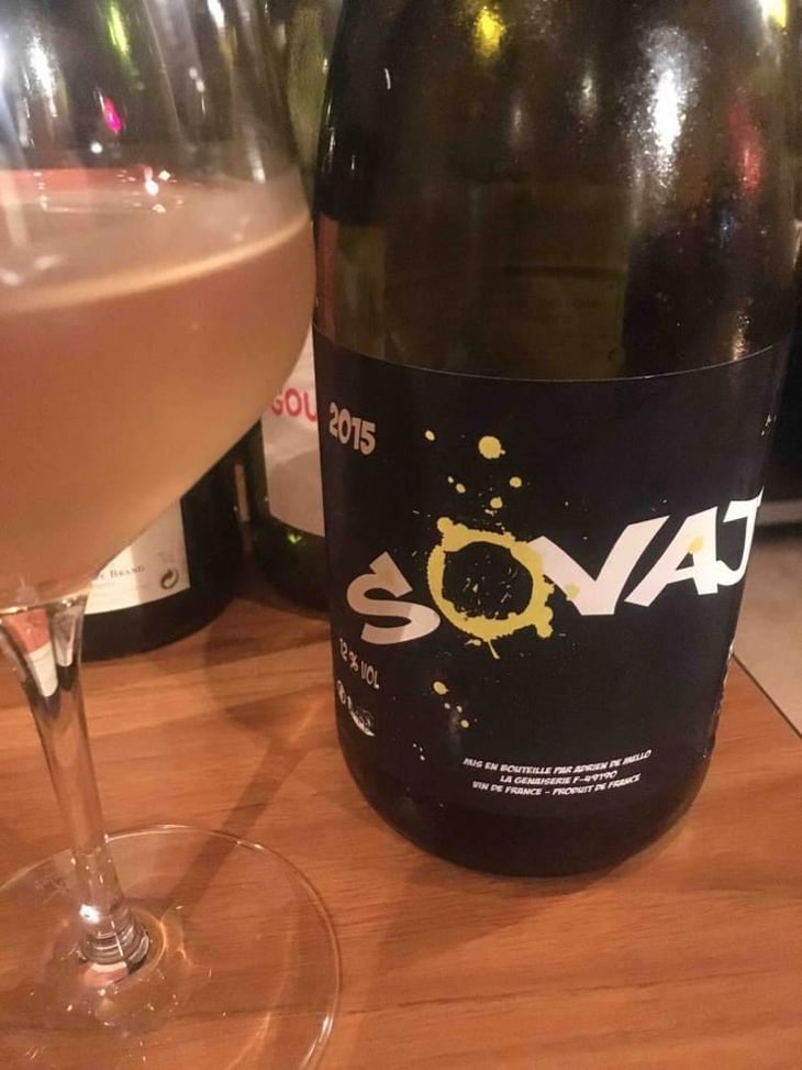 Sovaj - Domaine de la Petite Soeur - Adrien de Mello 
