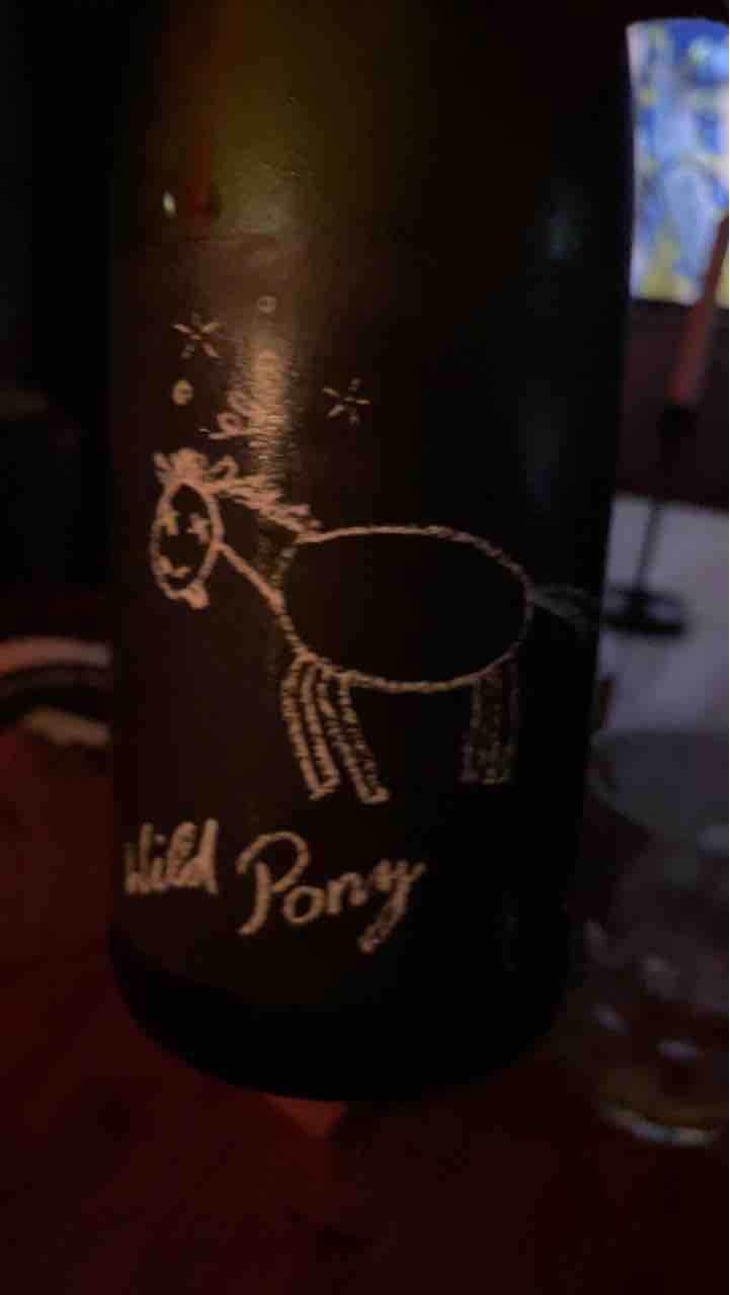 Wild Pony - Weingut Bianka und Daniel Schmitt - Daniel & Bianka Schmitt 