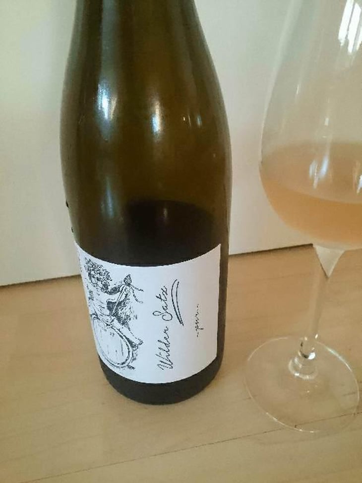 Wilder Satz - Brand Bros - Weingut Brand - Daniel & Jonas Brand 