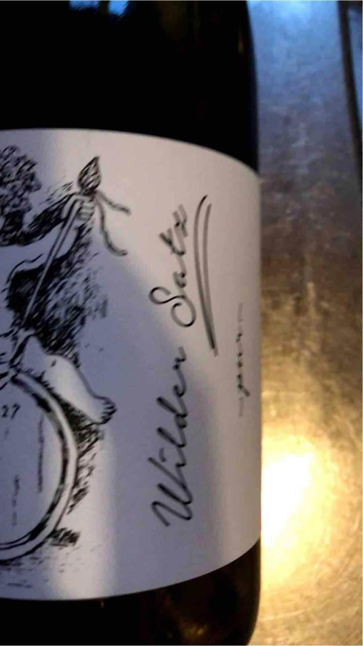 Wilder Satz - Brand Bros - Weingut Brand - Daniel & Jonas Brand 