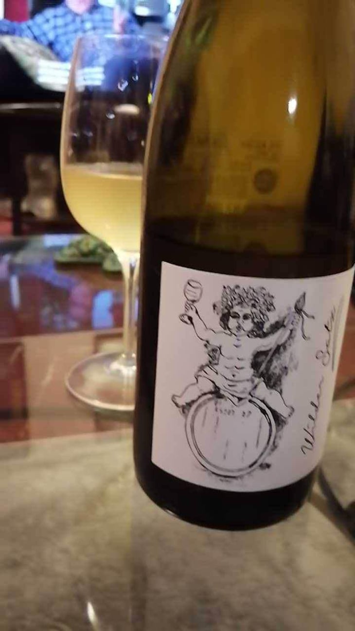 Wilder Satz - Brand Bros - Weingut Brand - Daniel & Jonas Brand 