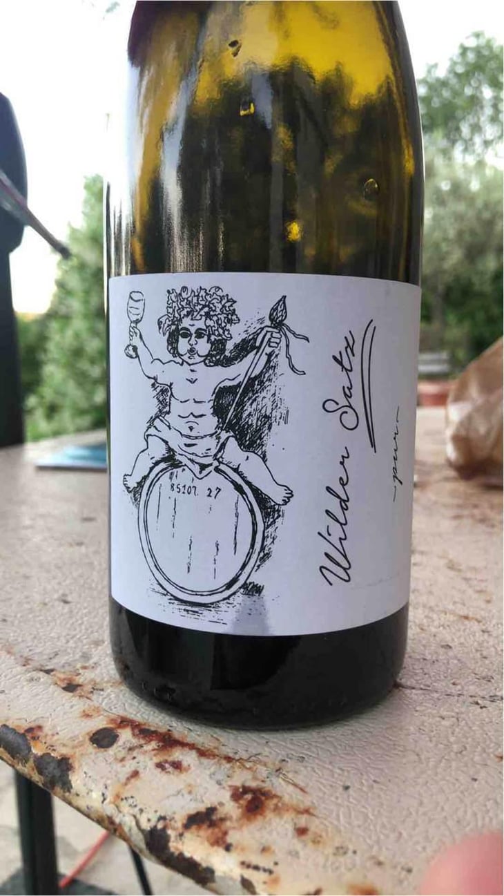 Wilder Satz - Brand Bros - Weingut Brand - Daniel & Jonas Brand 