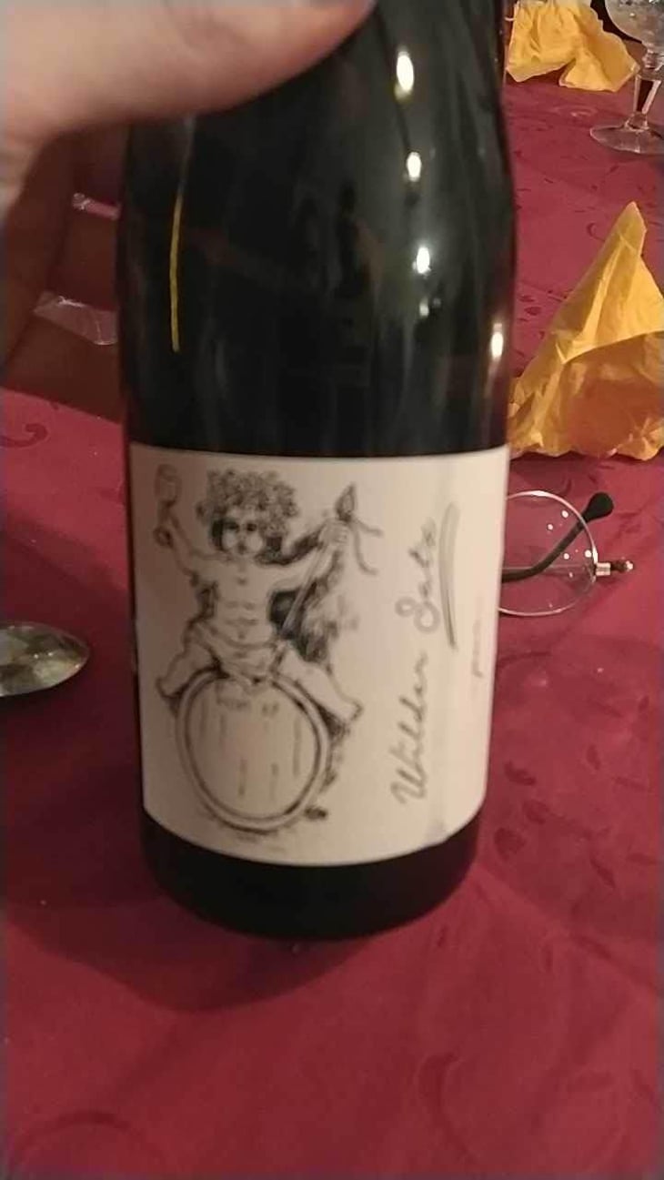 Wilder Satz - Brand Bros - Weingut Brand - Daniel & Jonas Brand 