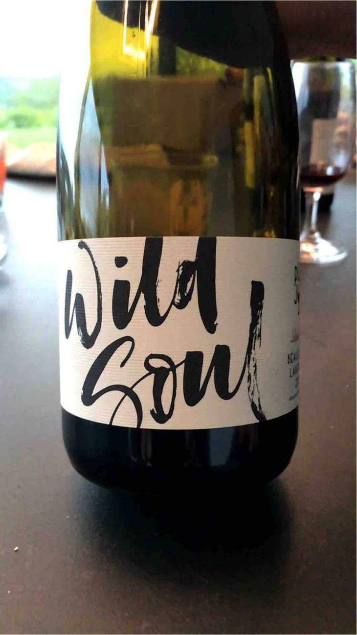 Wild Soul - Julien Sunier - Julien Sunier 