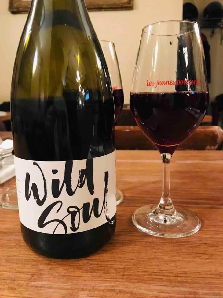 Wild Soul - Julien Sunier - Julien Sunier 