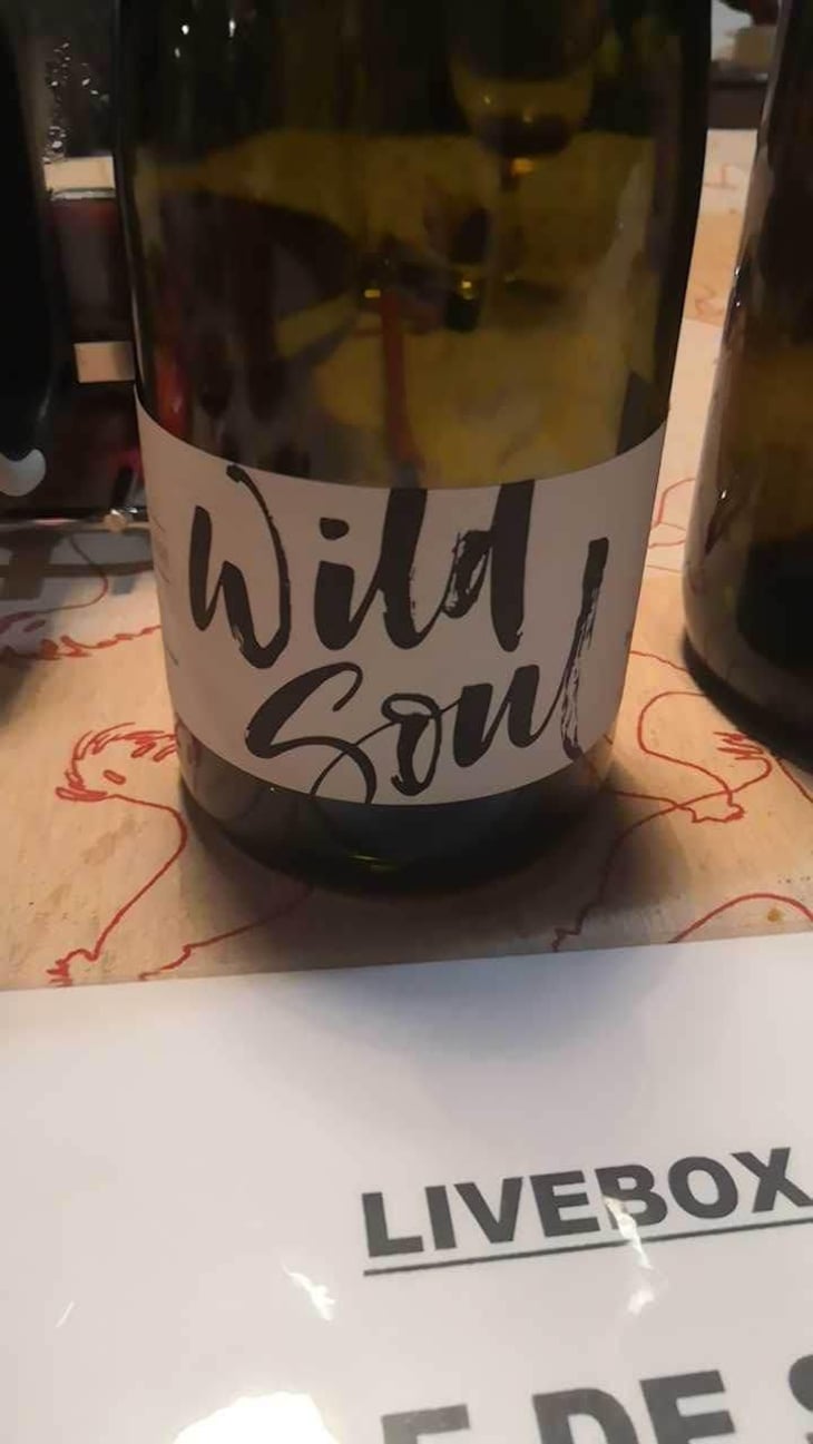 Wild Soul - Julien Sunier - Julien Sunier 