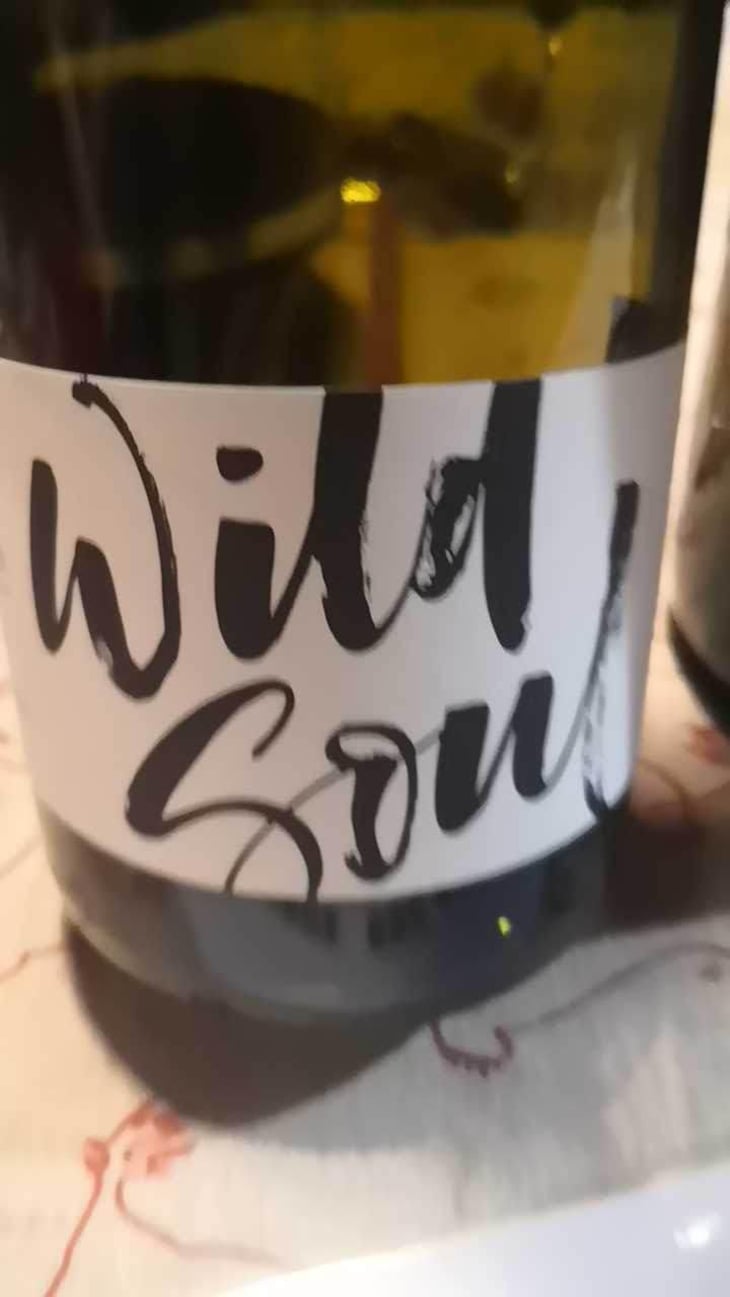 Wild Soul - Julien Sunier - Julien Sunier 