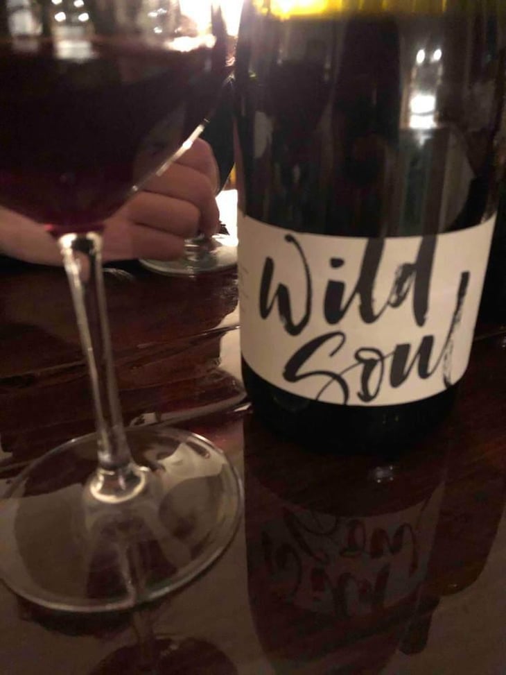 Wild Soul - Julien Sunier - Julien Sunier 