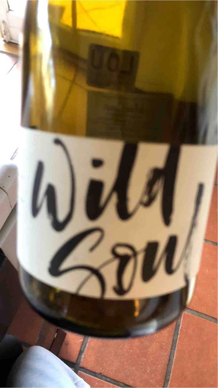 Wild Soul - Julien Sunier - Julien Sunier 