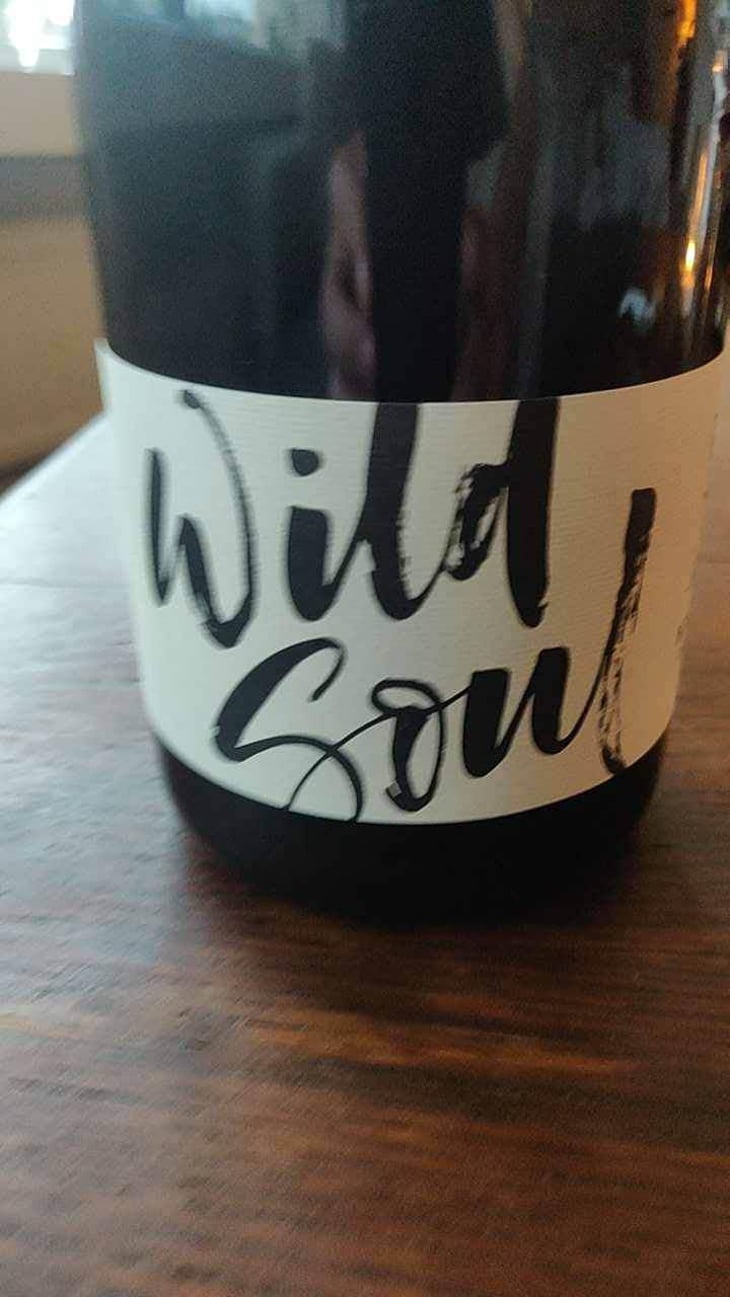 Wild Soul - Julien Sunier - Julien Sunier 