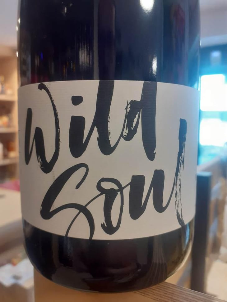 Wild Soul - Julien Sunier - Julien Sunier 