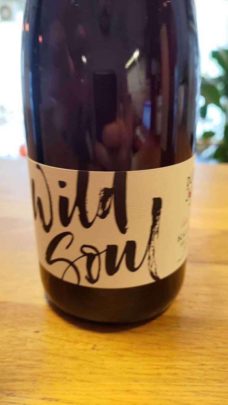 Wild Soul - Julien Sunier - Julien Sunier 