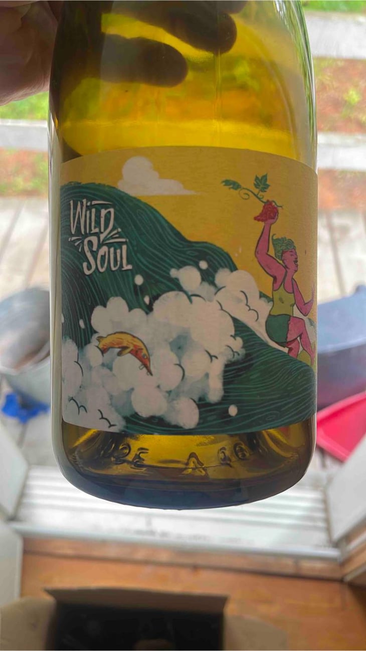 Wild Soul - Julien Sunier - Julien Sunier 