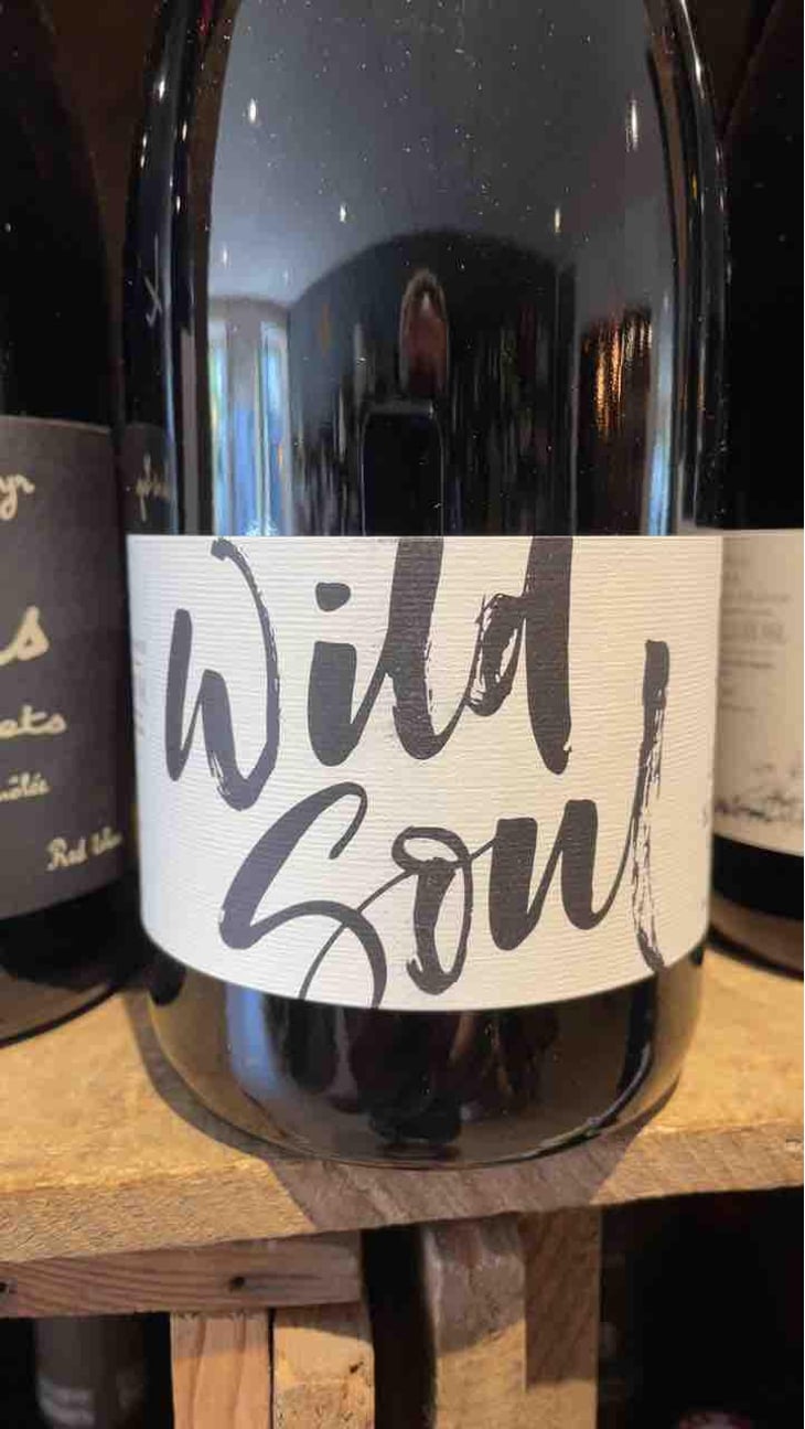 Wild Soul - Julien Sunier - Julien Sunier 