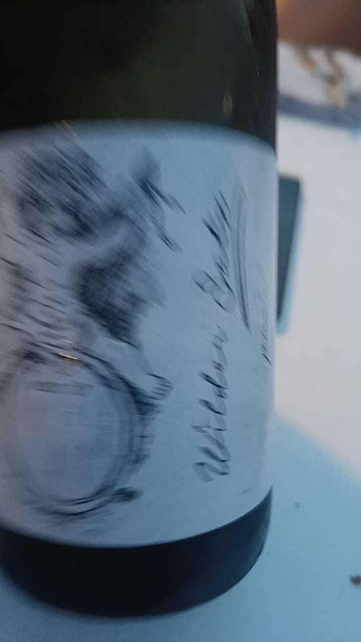 Wilder Satz - Brand Bros - Weingut Brand - Daniel & Jonas Brand 