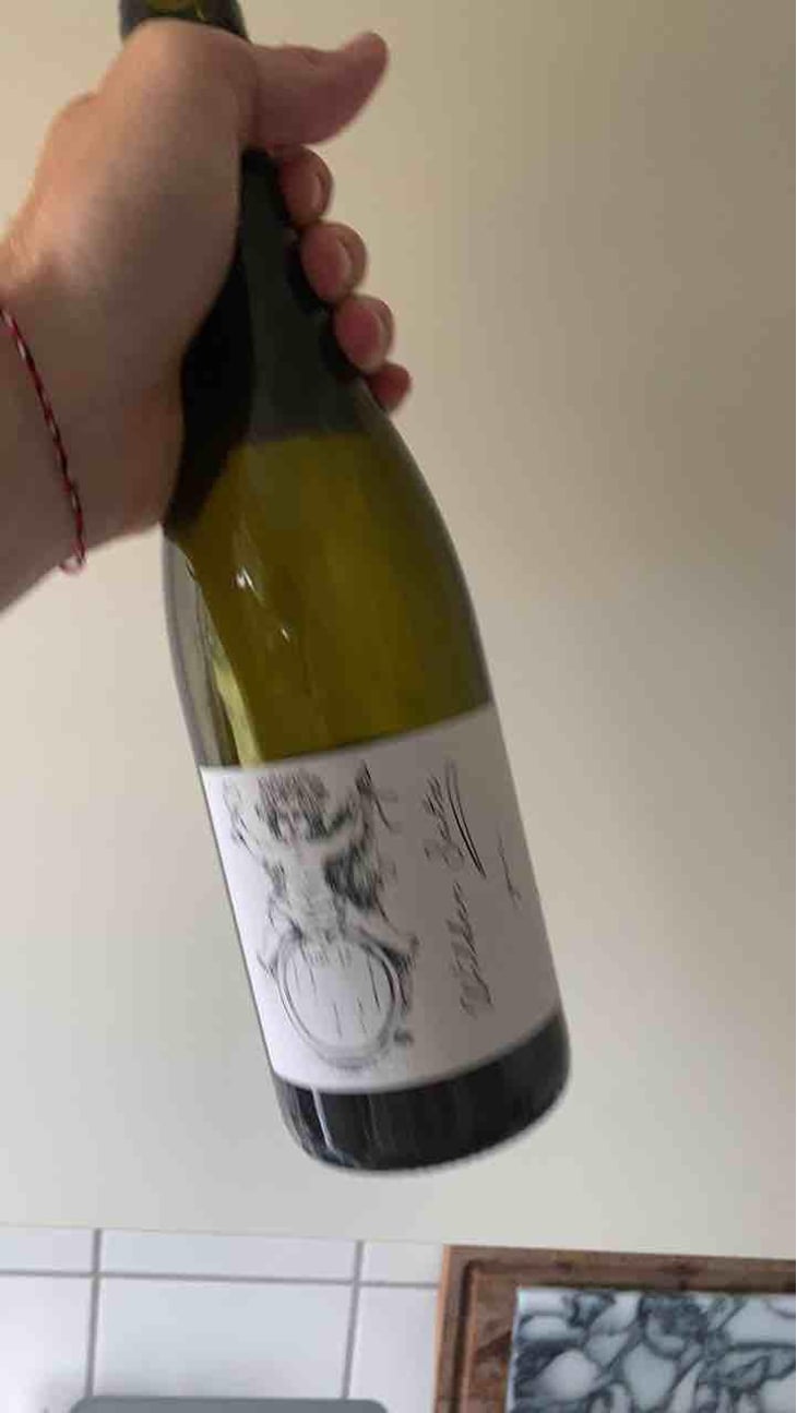 Wilder Satz - Brand Bros - Weingut Brand - Daniel & Jonas Brand 