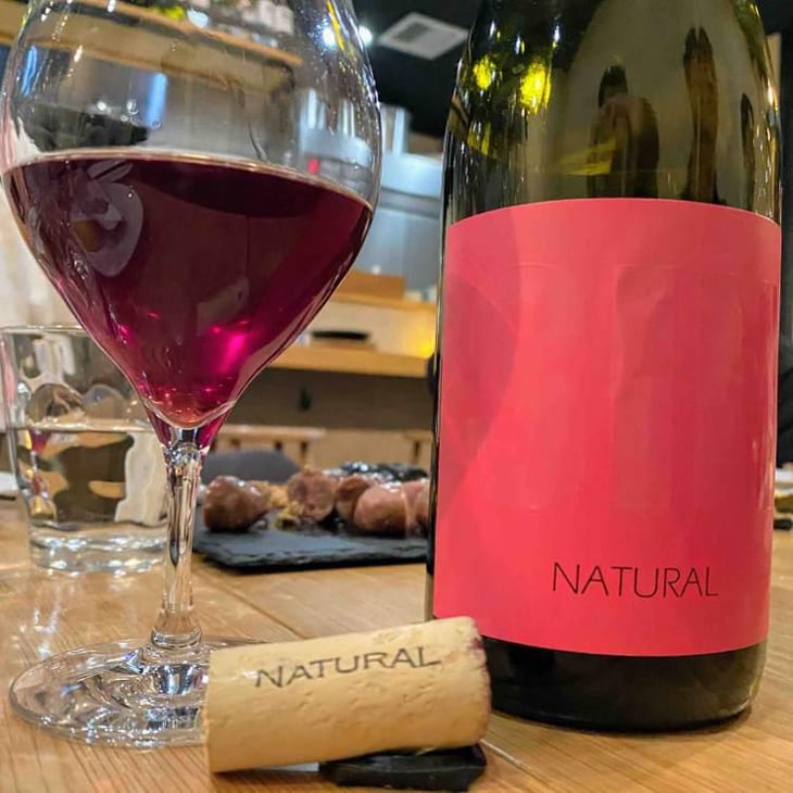 SIN Tinto - Els Vinyerons / Sin Project - Amós Bañeres Merinero & Alex Ruiz Masachs -2020