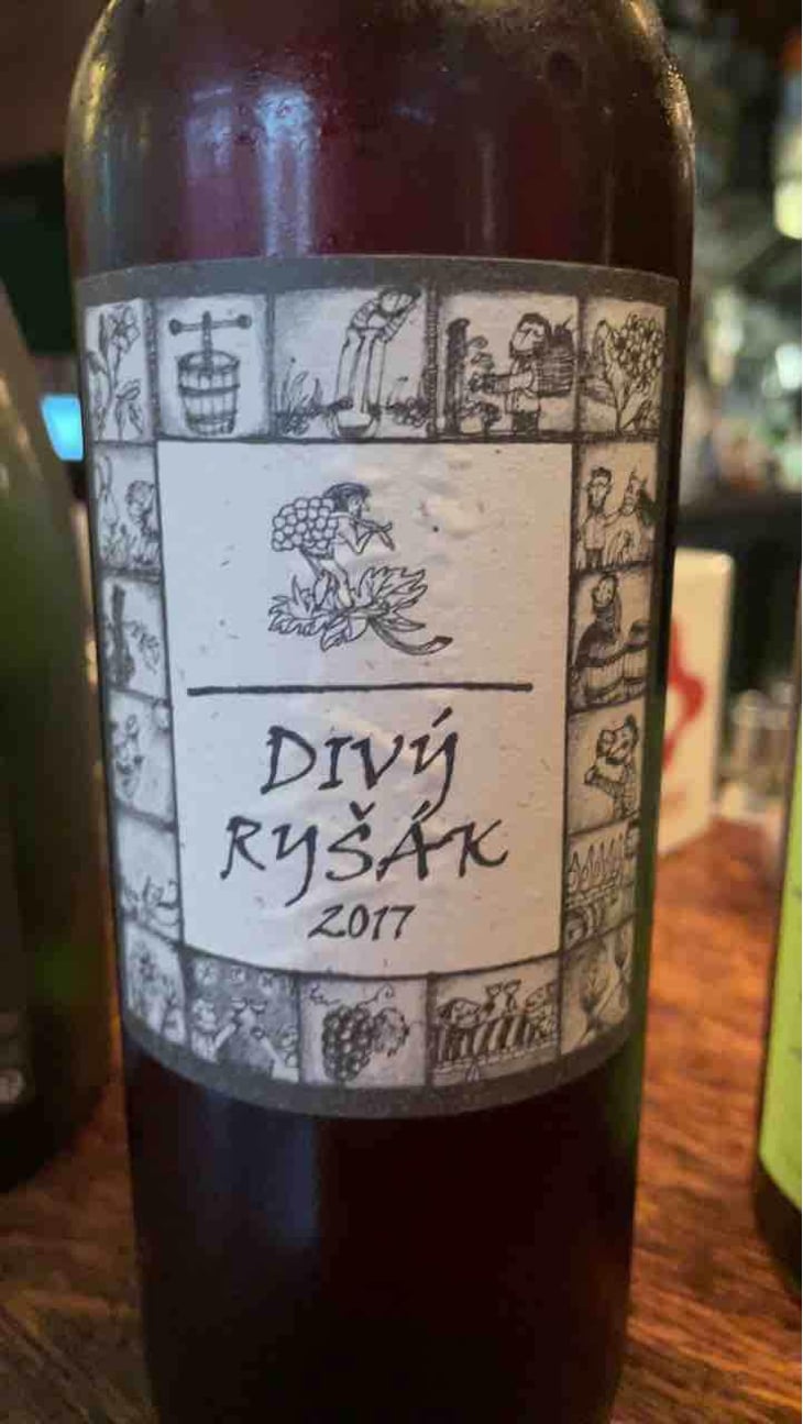 Divy Rysák - Richard Stavek - Richard Stavek 