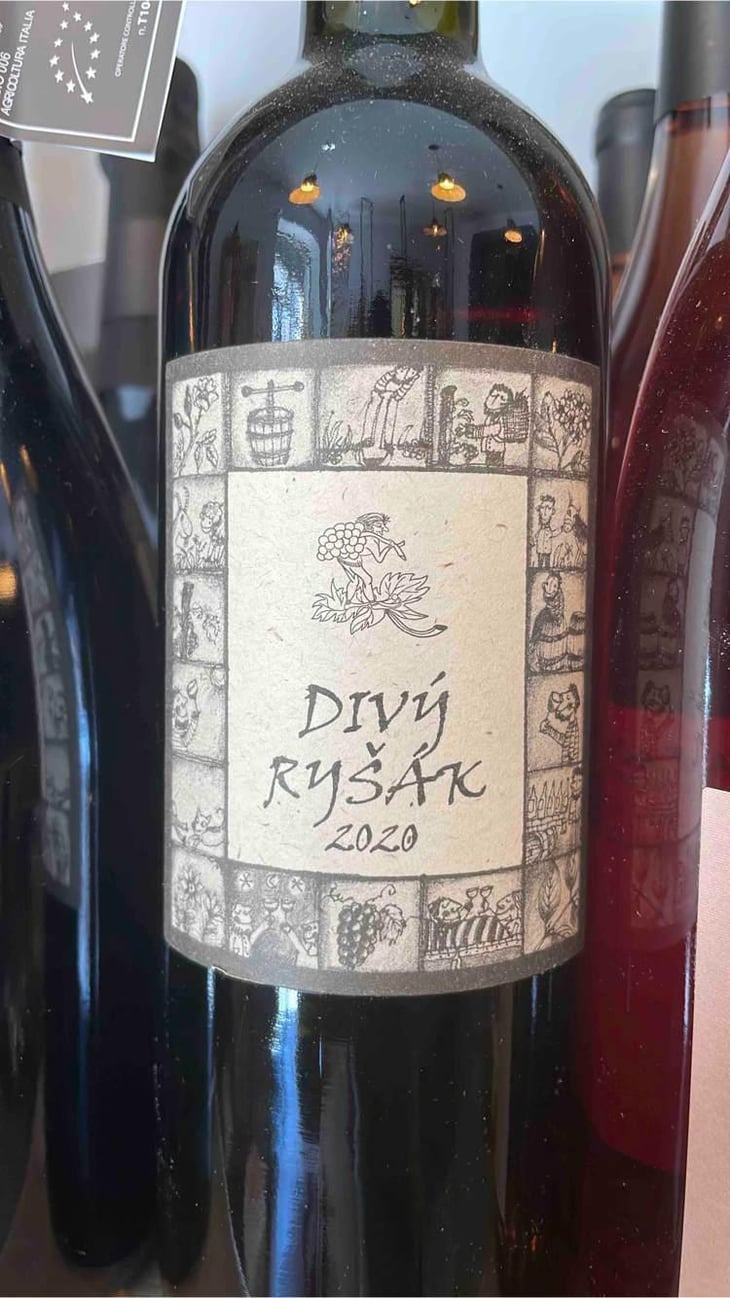 Divy Rysák - Richard Stavek - Richard Stavek 