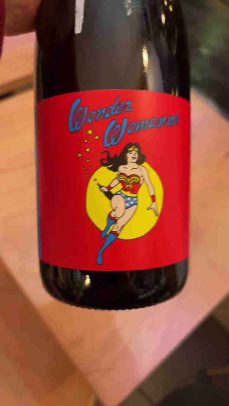 Wonder Womanne - Autour de l'Anne - Anne Leclerc Paillet 