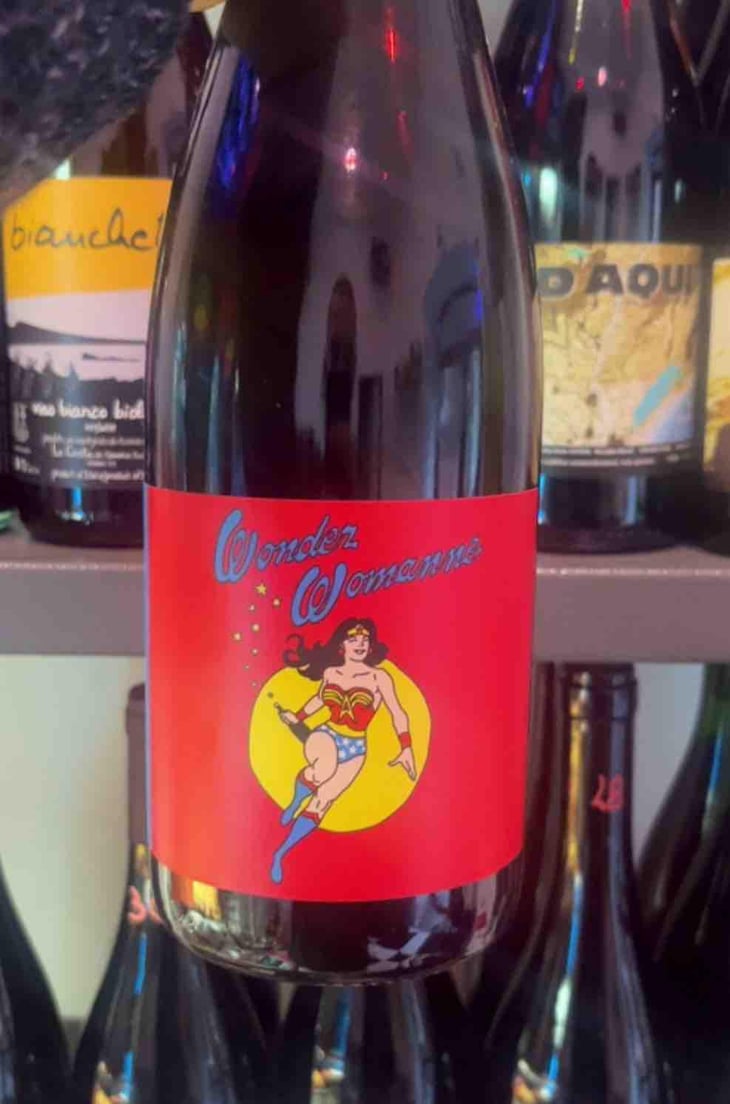 Wonder Womanne - Autour de l'Anne - Anne Leclerc Paillet 