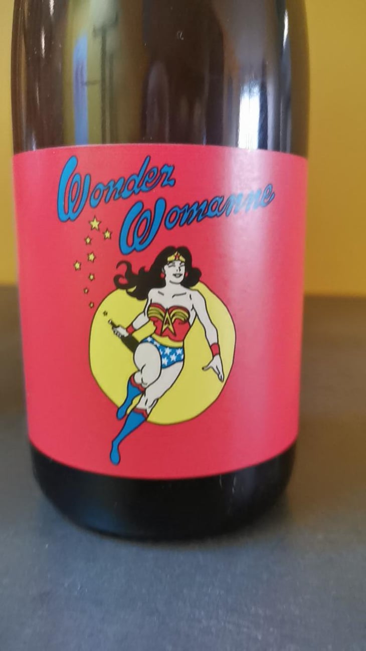 Wonder Womanne - Autour de l'Anne - Anne Leclerc Paillet 