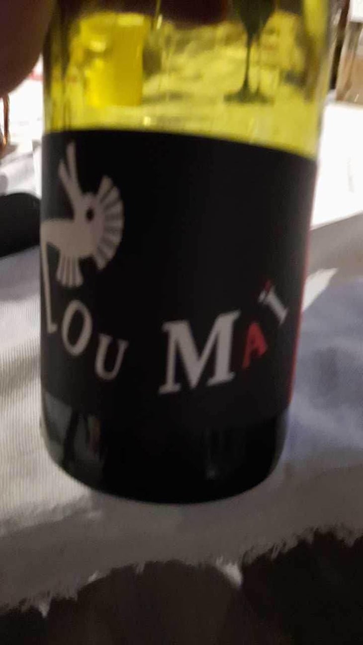 Zou Maï - Zou Maï - John Almansa 