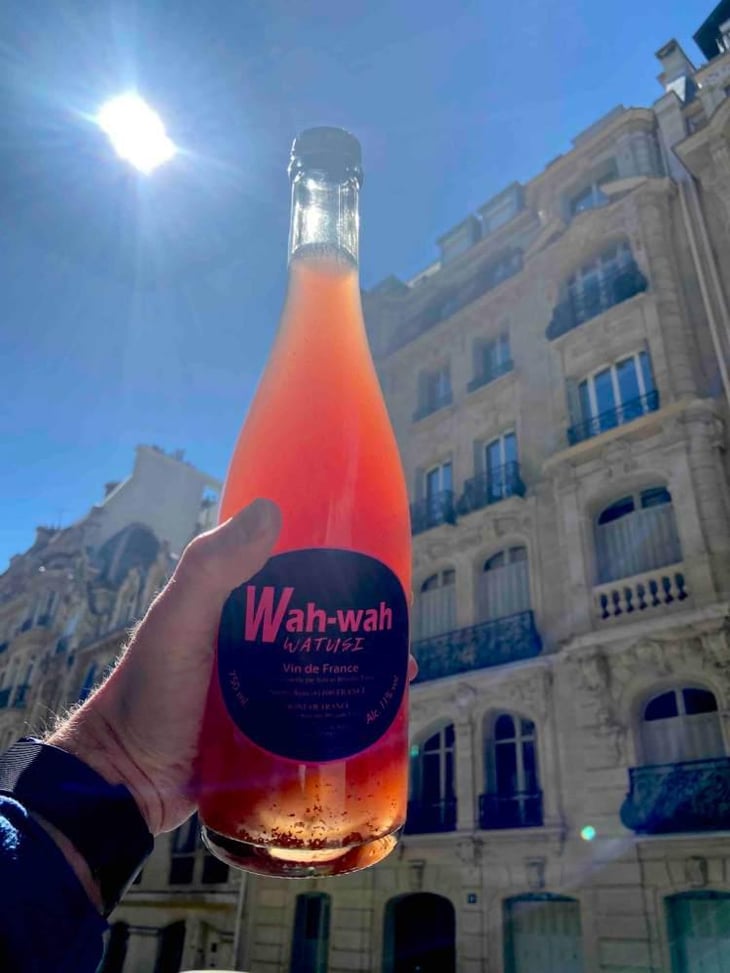 Wah Wah Watusi - Domaine Le Clocher - Les Vins de Sainte Anne - Brendan & Sean Tracey -2020
