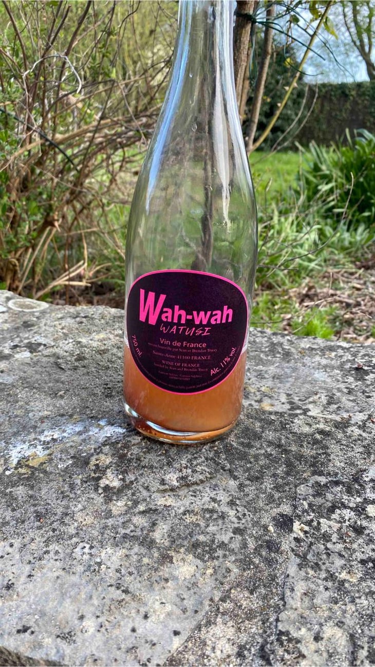 Wah Wah Watusi - Domaine Le Clocher - Les Vins de Sainte Anne - Brendan & Sean Tracey -2020