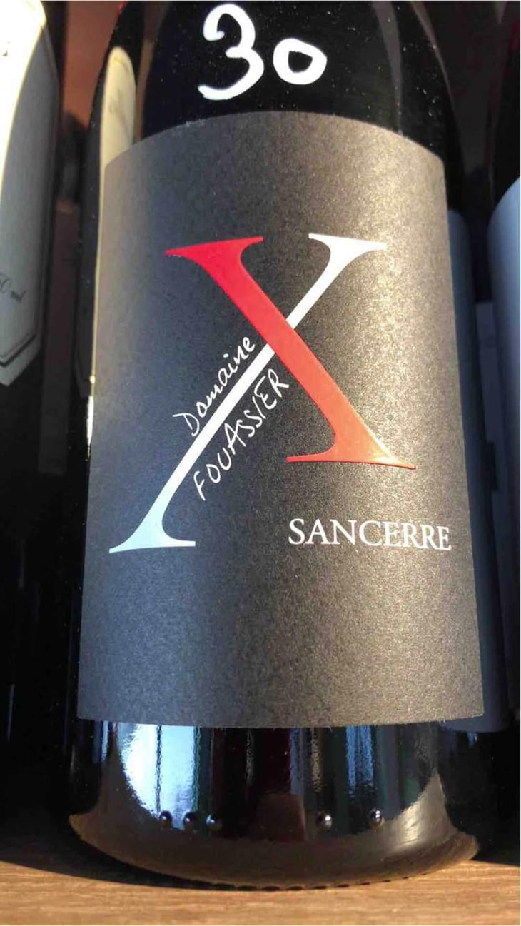 X - Domaine Fouassier - Benoit & Paul Fouassier 