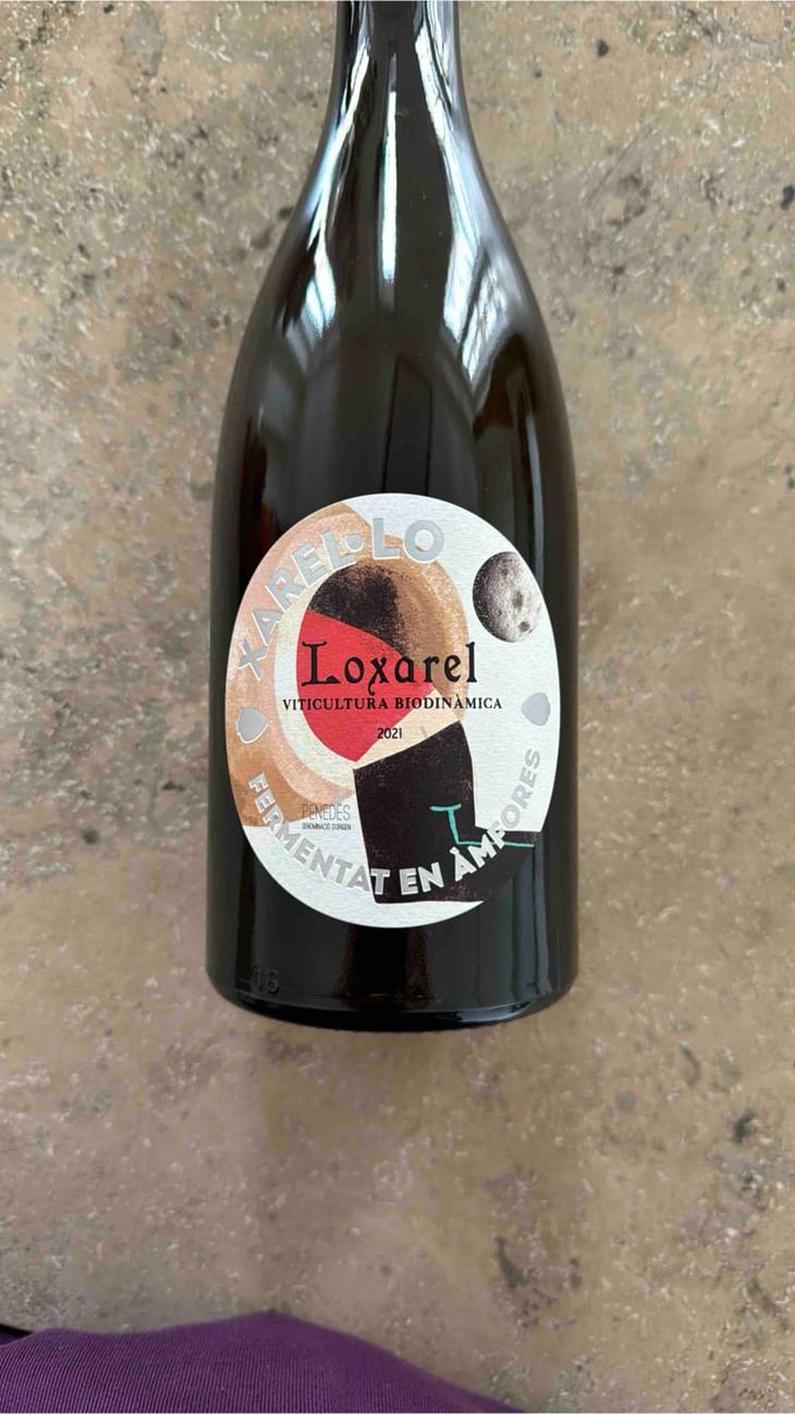 Xarel·lo d'àmfora - Loxarel - Josep Mitjans 