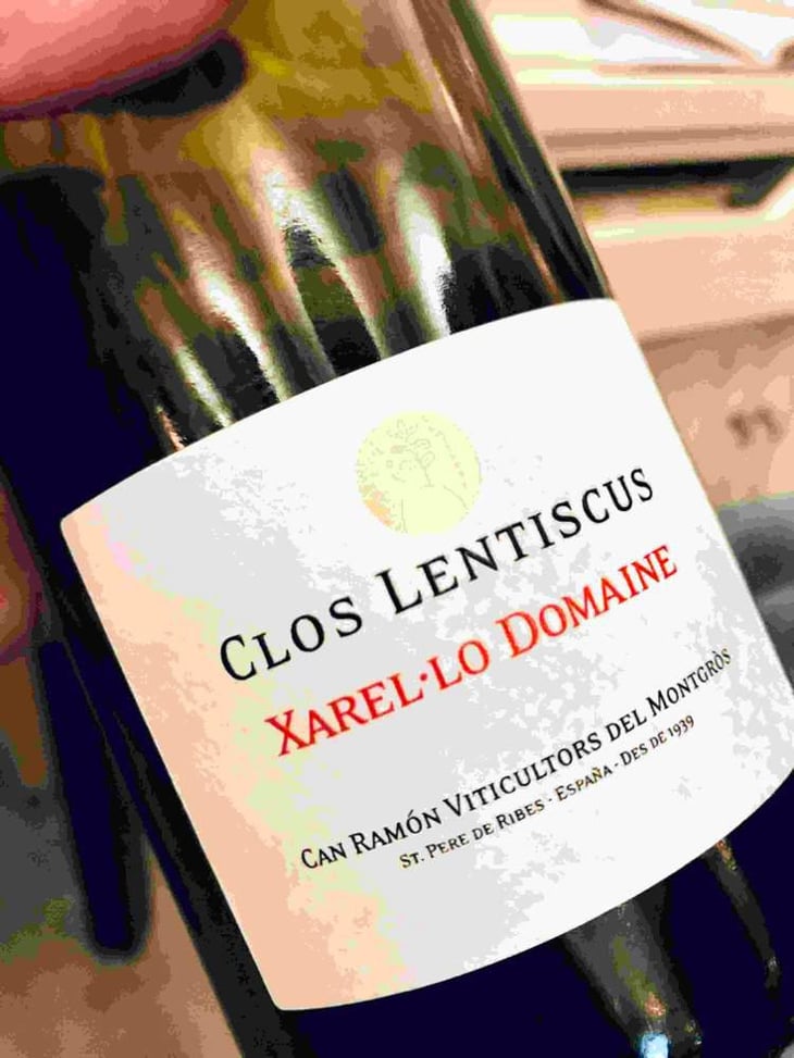 Xarel·lo Domaine - Clos Lentiscus - Manel Aviñó 