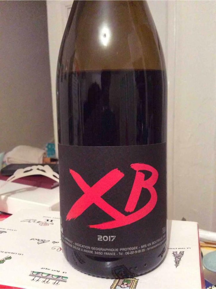 XB - La Terrasse d'Elise - Xavier Braujou 
