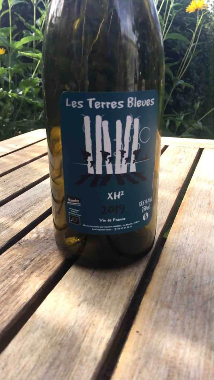 XH2 - Les Terres Bleues - Xavière Hardy 