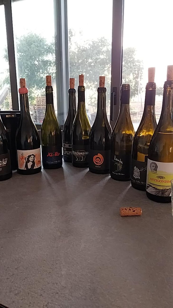 Xi-Ro - Domaine Ligas - Ktima Ligas - Meli Ligas & Thomas Ligas 