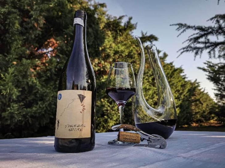 Xinomavro Nature - Thymiopoulos Vineyards - Apostolos Thymiopoulos 