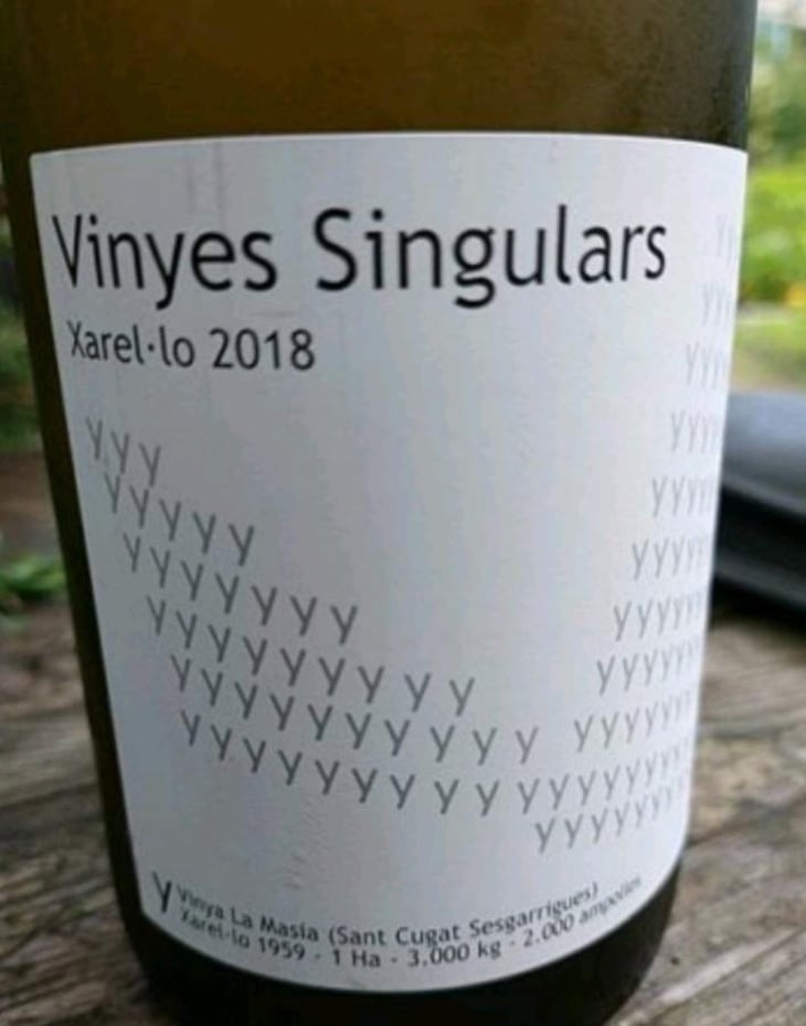 Y - Vinyes Singulars - Ignasi Segui -2021