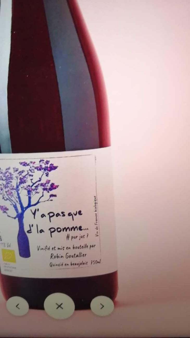 Y'a pas que d'la pomme - Robin Goutallier - Robin Goutallier 