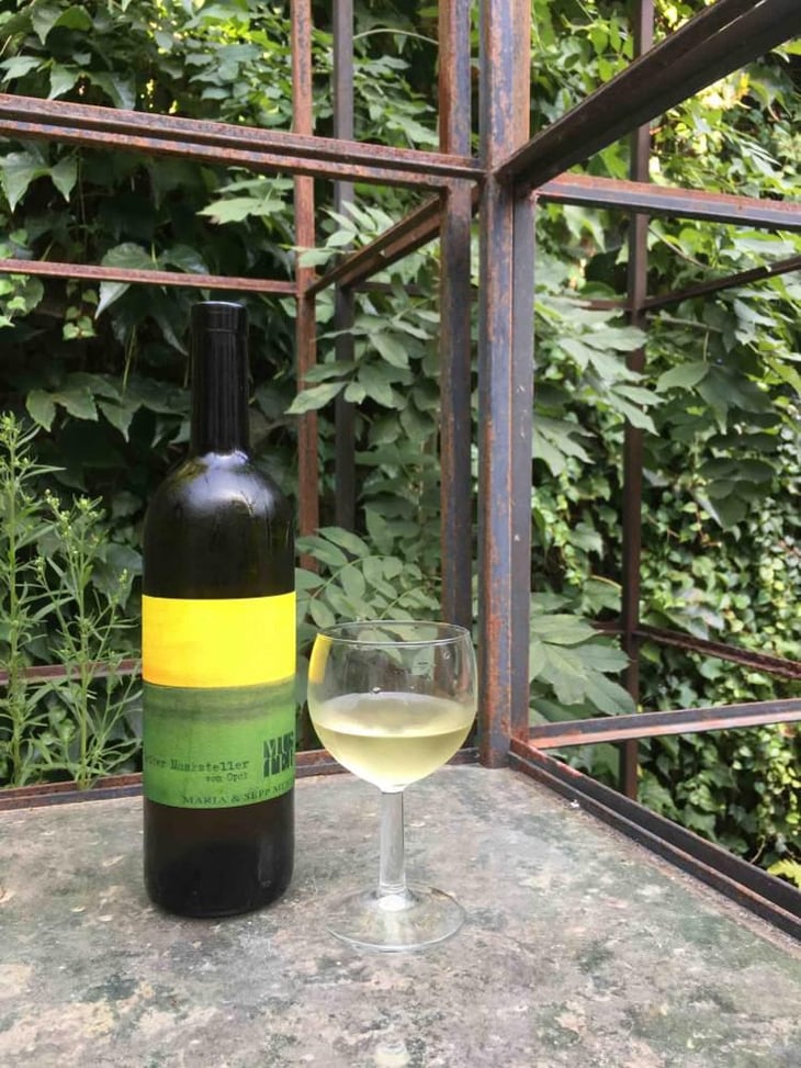 Gelber Muskateller vom Opok - Weingut Muster - Maria & Sepp Muster 