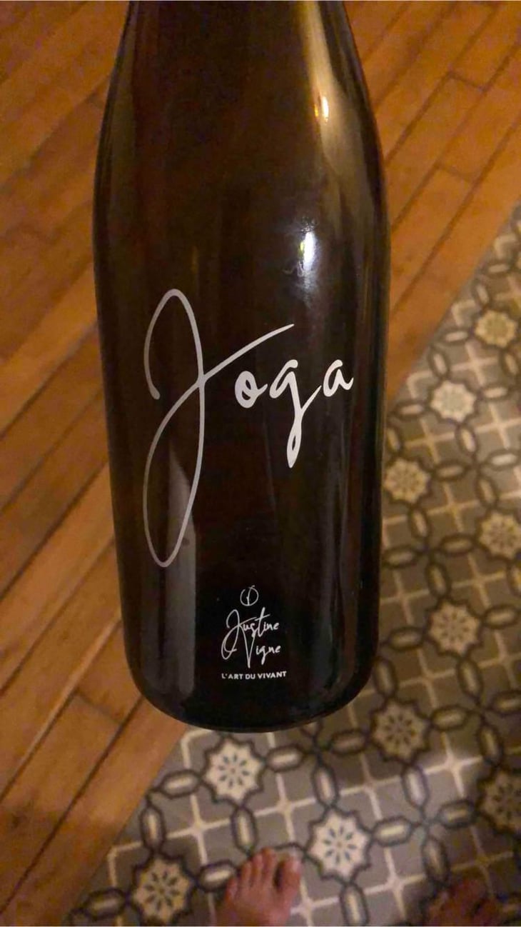 Joga - Justine Vigne - Justine Vigne 