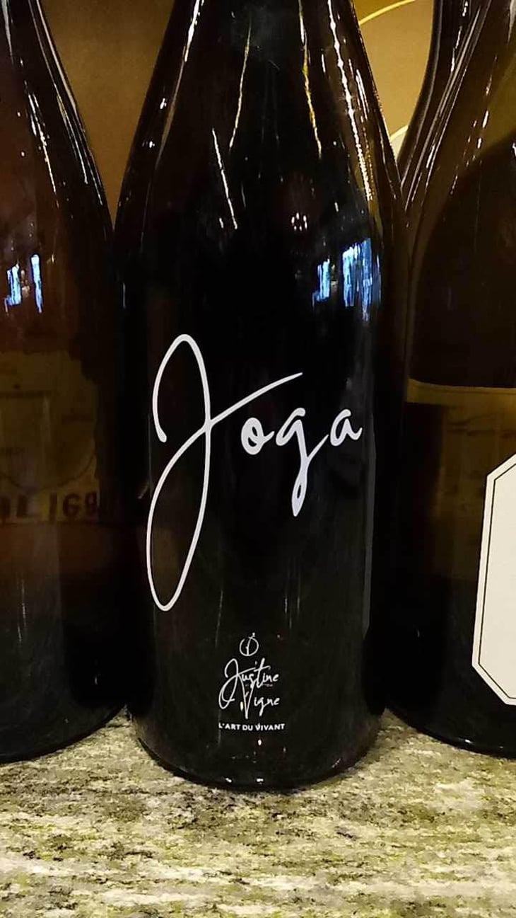 Joga - Justine Vigne - Justine Vigne 