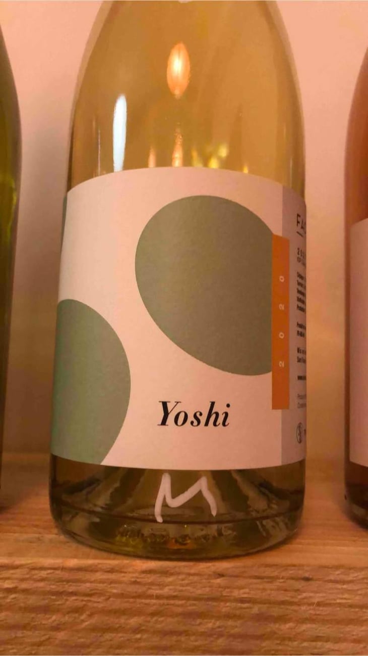 Yoshi - Face B - Séverin Barioz & Mathilde Barioz - Ceccon 