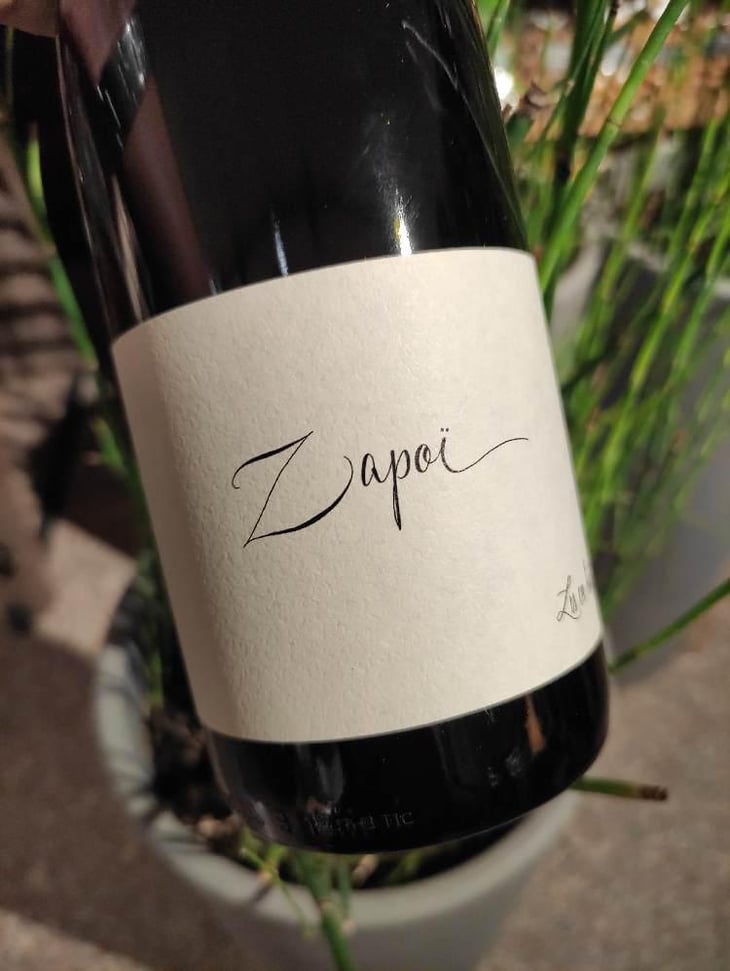 Zapoï - Aurélien Lefort - Aurélien Lefort 