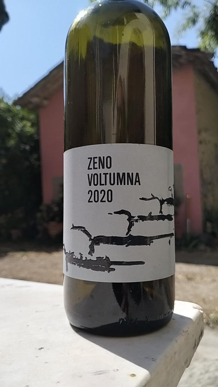 ZENO - Voltumna - Marzio Politi 