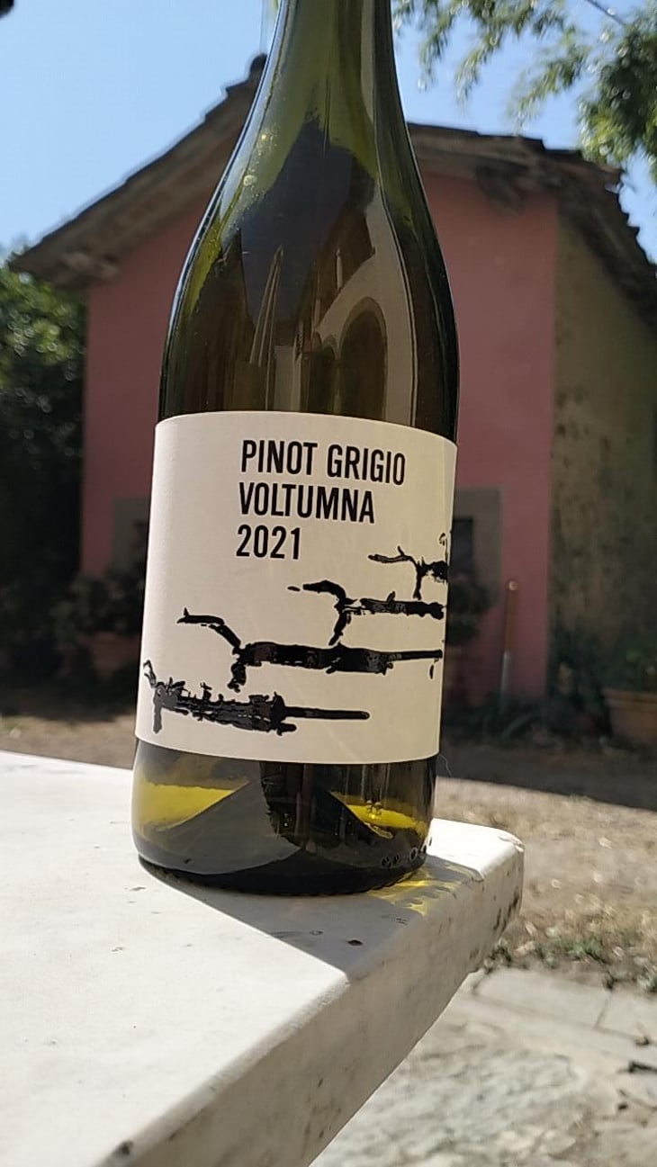 PINOT GRIGIO - Voltumna - Marzio Politi 