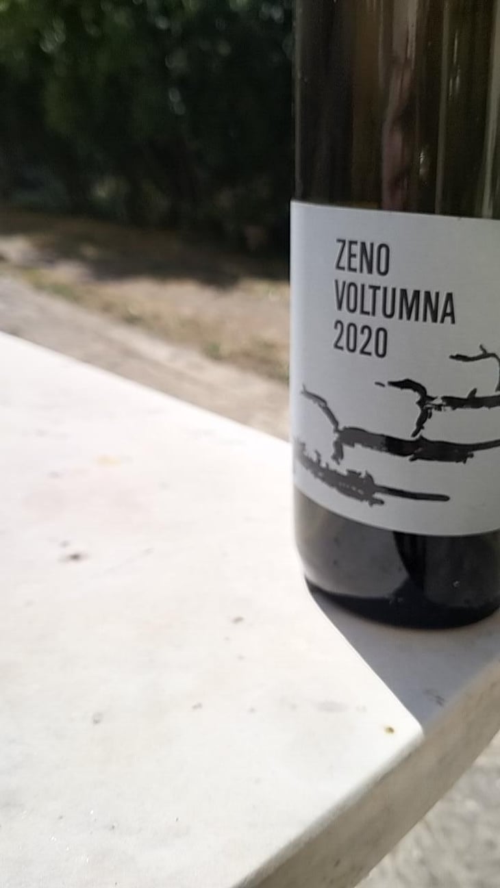 ZENO - Voltumna - Marzio Politi 