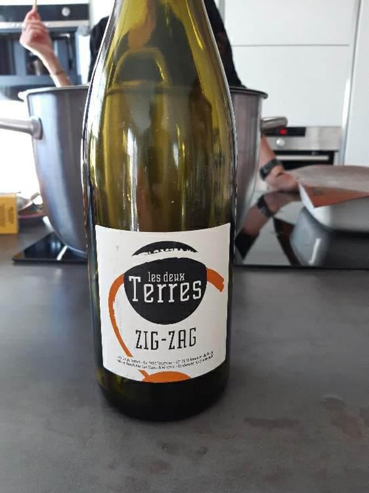 Zig-Zag - Les Deux Terres - Vincent Fargier & Emmanuel Cunin 