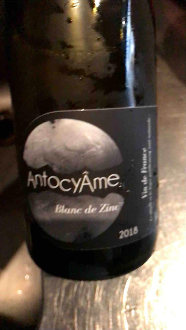 Blanc de Zinc - AntocyÂme - Muriel Zoldan 