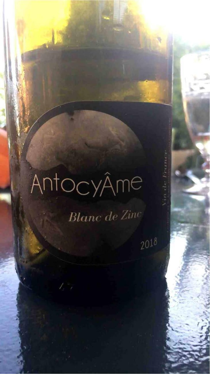 Blanc de Zinc - AntocyÂme - Muriel Zoldan 